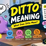 Ditto Meaning