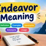 Endeavor Meaning