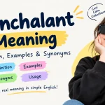 Nonchalant Meaning