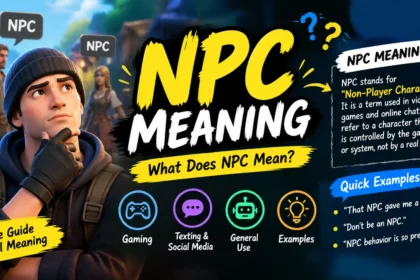 NPC Meaning