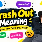 Crash Out Meaning