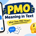 PMO Meaning Text